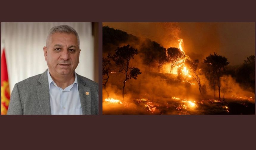 EMEP’TEN ORMAN YANGINLARI RAPORU
