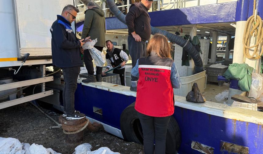 HAMSİ AVCILIĞI DENETİMLERİ SÜRÜYOR