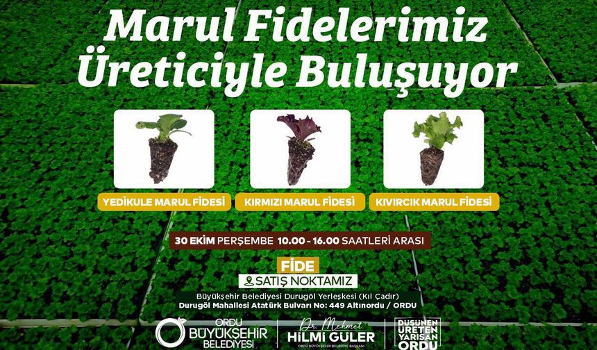 ORDU’DA MARUL FİDESİ DAĞITIMIYLA ÜRETİCİYE DESTEK