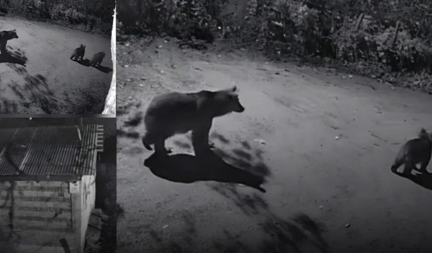 AYILAR MAHALLEYE İNDİ