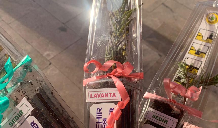 Ordu’da Orman Haftası Etkinliği