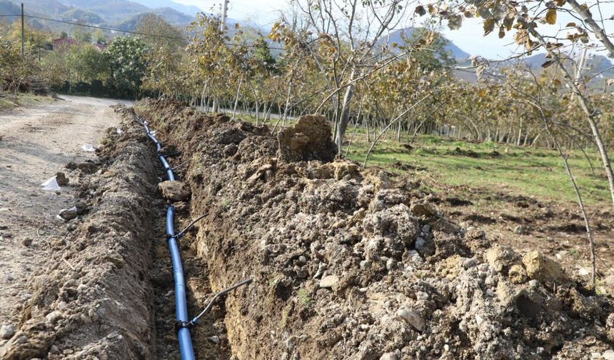 VERİM ARTIŞI İÇİN DAMLAMA SULAMA SİSTEMİ