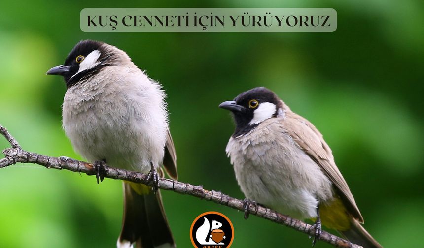 ORDU’DA BETONLAŞMAYA KARŞI YÜRÜYÜŞ ÇAĞRISI