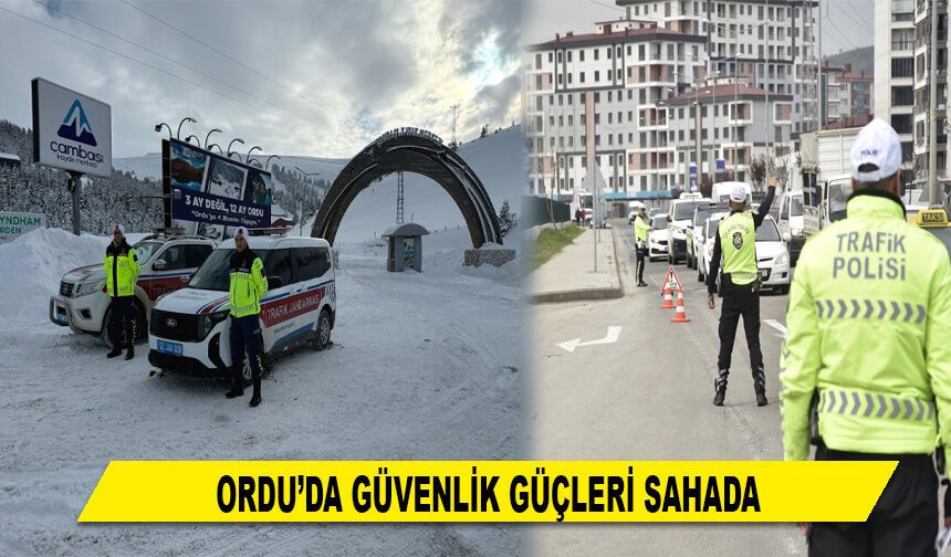 ORDU'DA GÜVENLİK GÜÇLERİ SAHADA