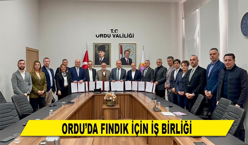 ORDU’DA FINDIK İÇİN İŞ BİRLİĞİ