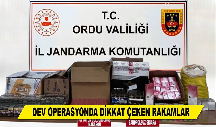 DEV OPERASYONDA DİKKAT ÇEKEN RAKAMLAR