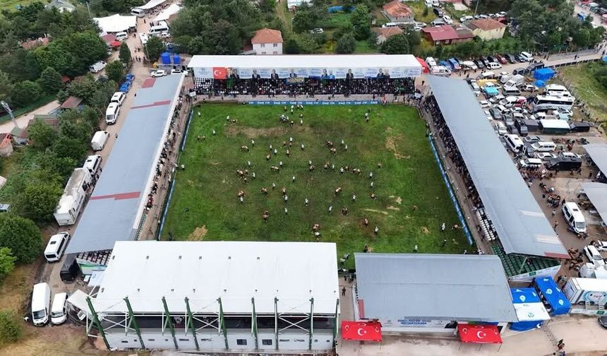 Aybastı Yağlı Güreş Festivali Kaldığı Yerden Devam Ediyor