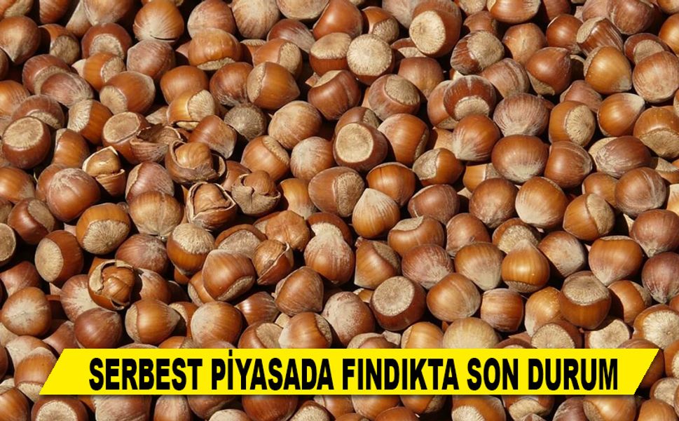 SERBEST PİYASADA FINDIKTA SON DURUM