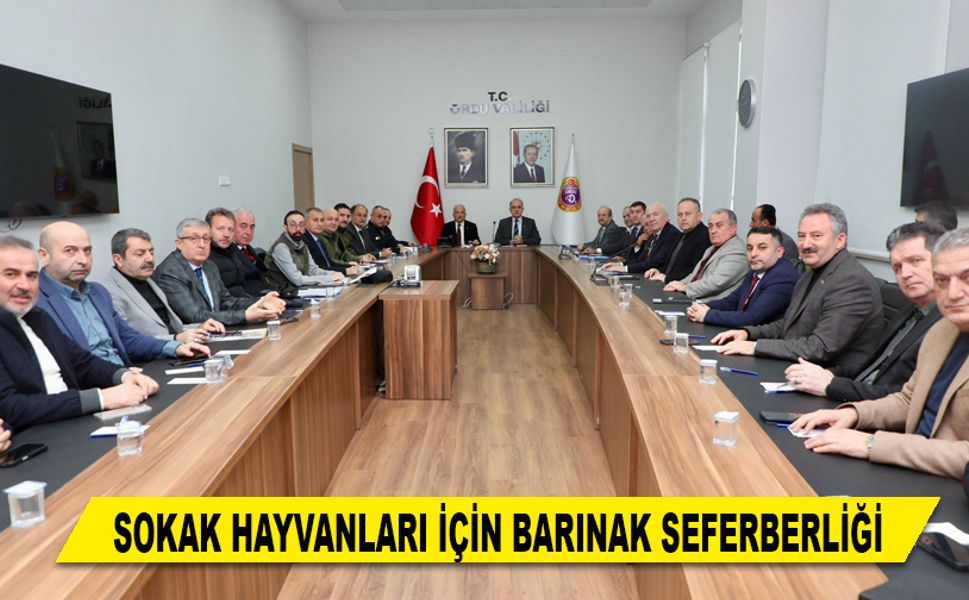 SOKAK HAYVANLARI İÇİN BARINAK SEFERBERLİĞİ