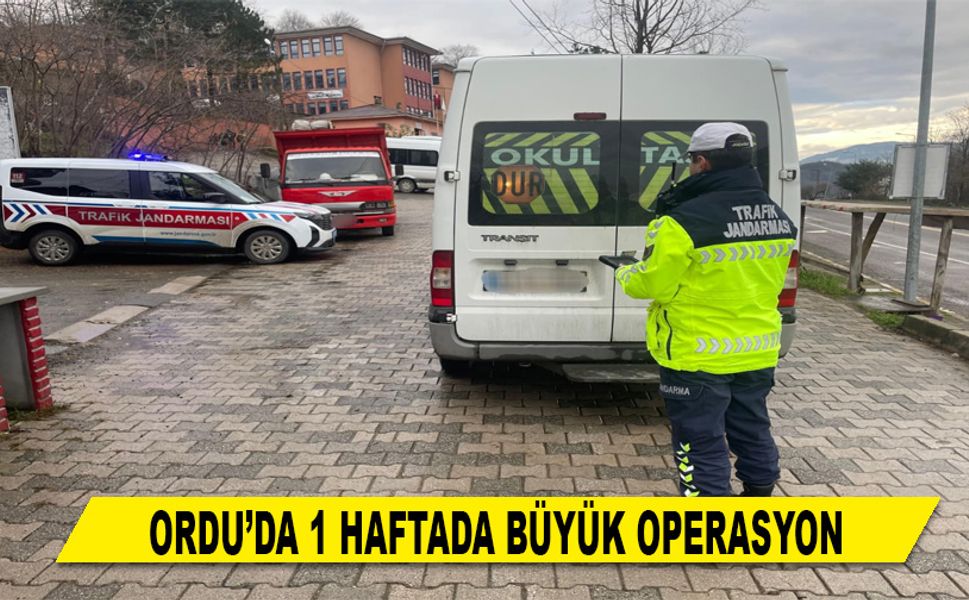 ORDU’DA 1 HAFTADA BÜYÜK OPERASYON