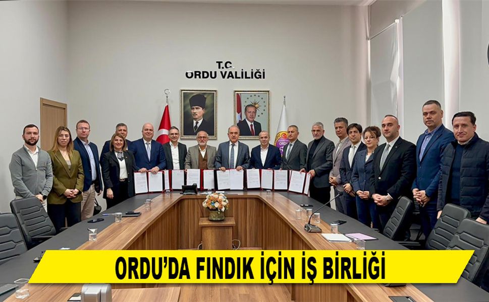 ORDU’DA FINDIK İÇİN İŞ BİRLİĞİ