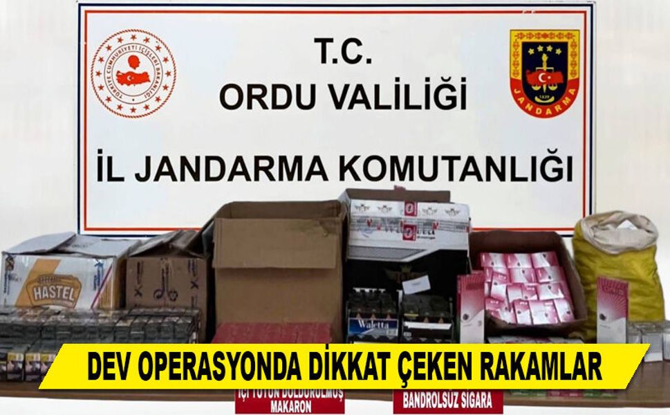DEV OPERASYONDA DİKKAT ÇEKEN RAKAMLAR