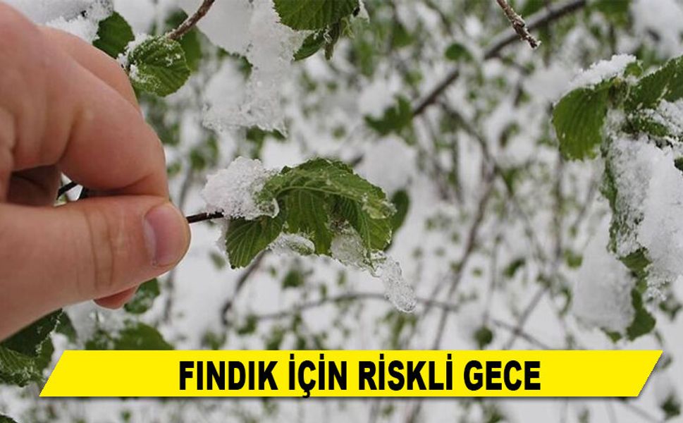 FINDIK İÇİN RİSKLİ GECE