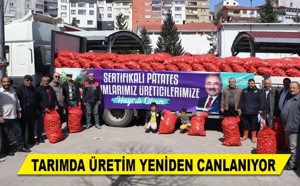 TARIMDA ÜRETİM YENİDEN CANLANIYOR