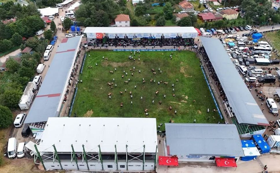 Aybastı Yağlı Güreş Festivali Kaldığı Yerden Devam Ediyor