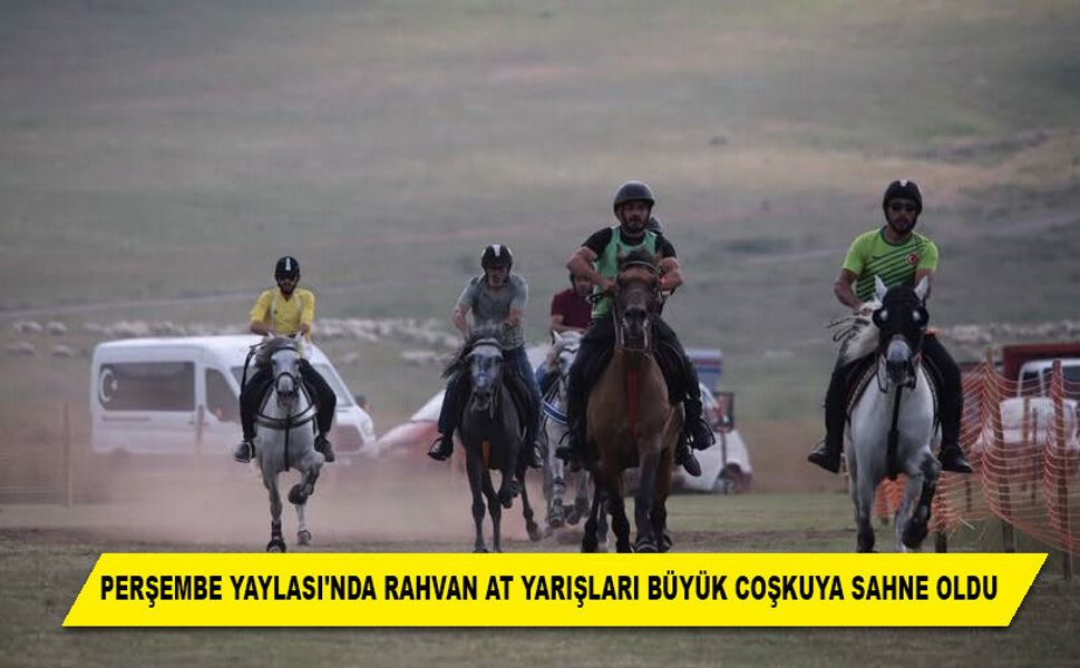 PERŞEMBE YAYLASI'NDA RAHVAN AT YARIŞLARI BÜYÜK COŞKUYA SAHNE OLDU