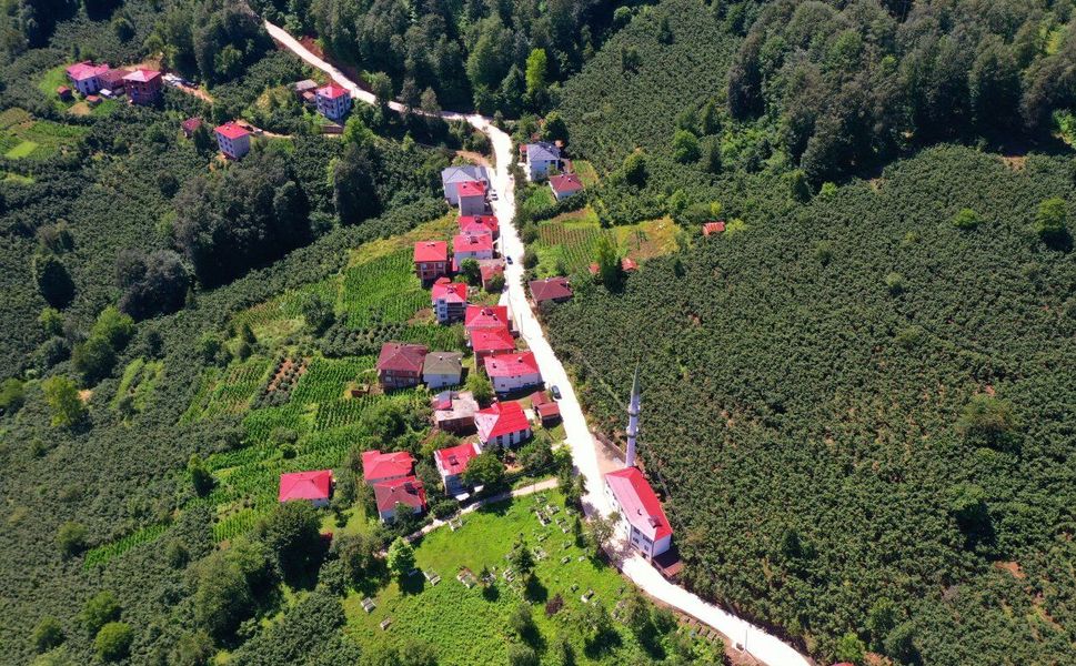 Aybastı Alacalar’da 3 Kilometrelik Beton Yol Çalışması Sürüyor