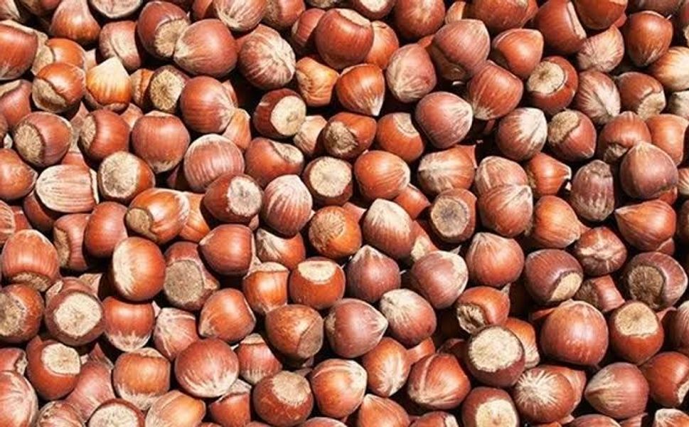 FERRERO’NUN FINDIK ALIMI PİYASAYI HAREKETLENDİREBİLİR!