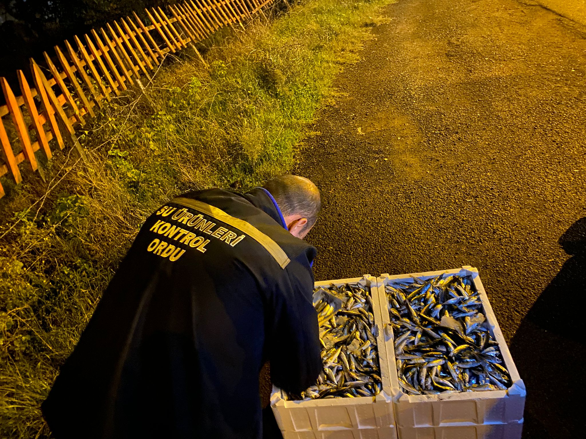 571085260 1135659928750492 7858278670903500010 N