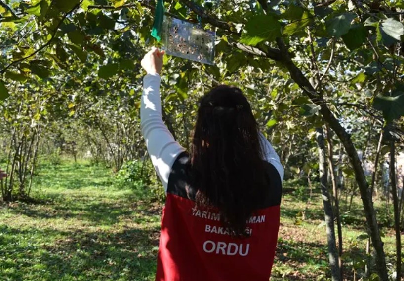Ekran Görüntüsü 2025 10 10 125852