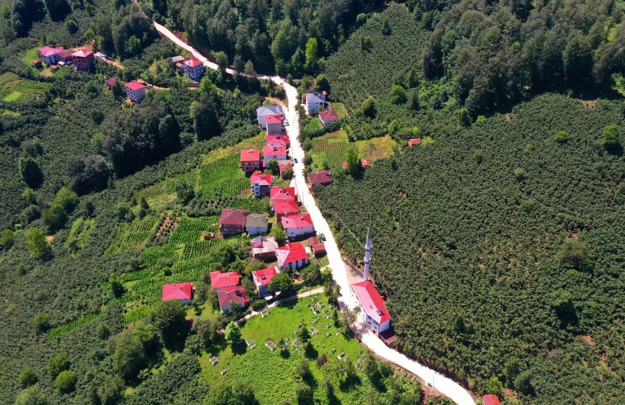 Aybastı Alacalar’da 3 Kilometrelik Beton Yol Çalışması Sürüyor
